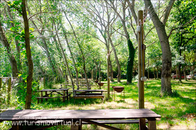 Camping Las Araucarias